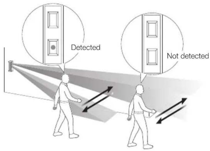 Detected Not detected