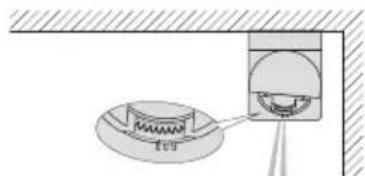 tor