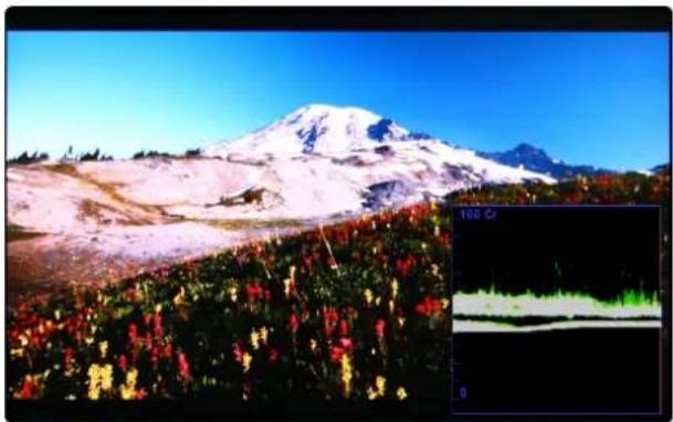 TVLogic R-5T - - VECTORSCOPE - 1