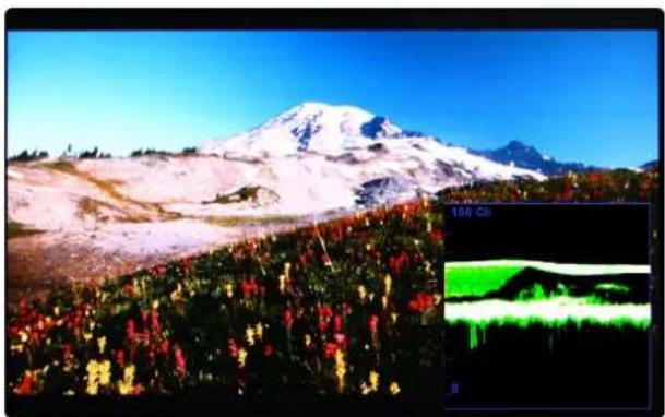 TVLogic R-5T - - WAVEFORM Cb, Cr - 1