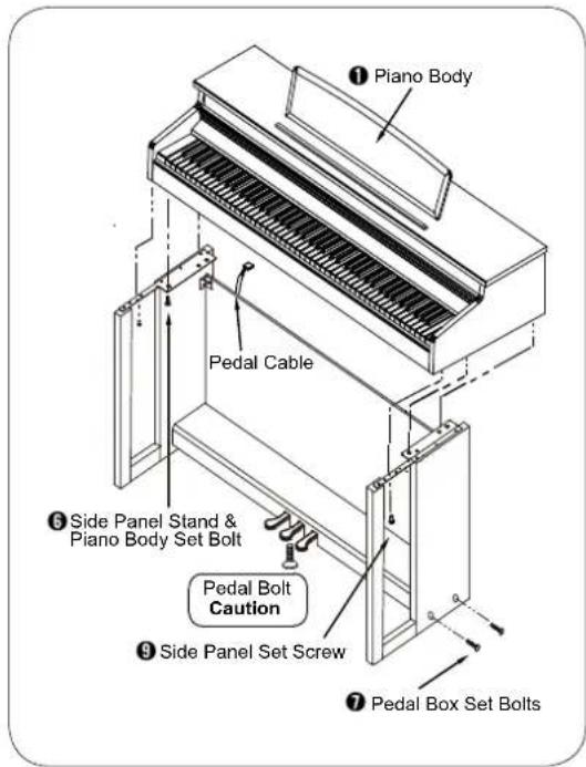 Piano Body Pedal Cable Side Panel Stand & Piano Body Set Bolt Pedal Bolt Caution Side Panel Set Screw Pedal Box Set Bolts