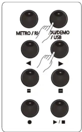 METRO / RH OU/DEMO / USB ■ ■ ● ► / ■