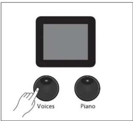 Voices Piano
