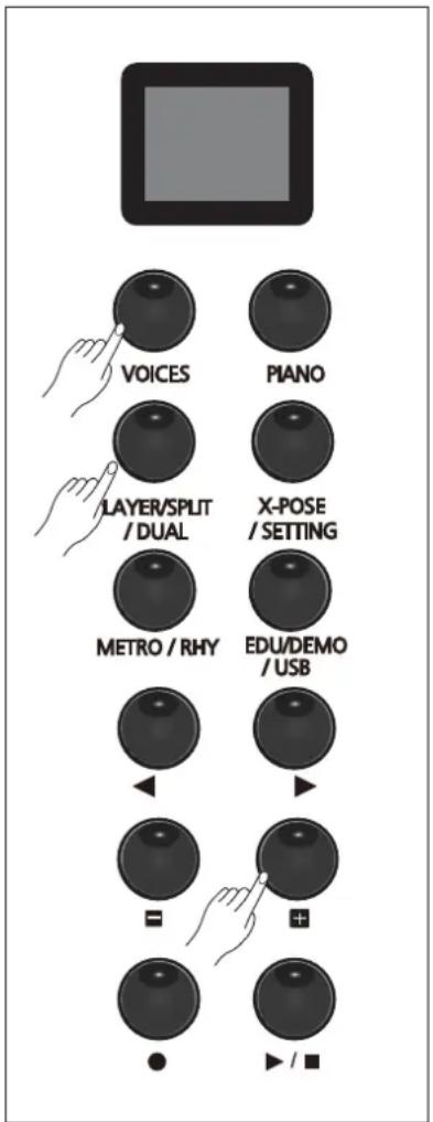 VOICES PIANO LAYER/SPLIT /DUAL X-POSE /SETTING METRO / RHY EDU/DEMO /USB +/-