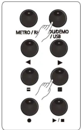 METRO / RH OU/DEMO / USB =