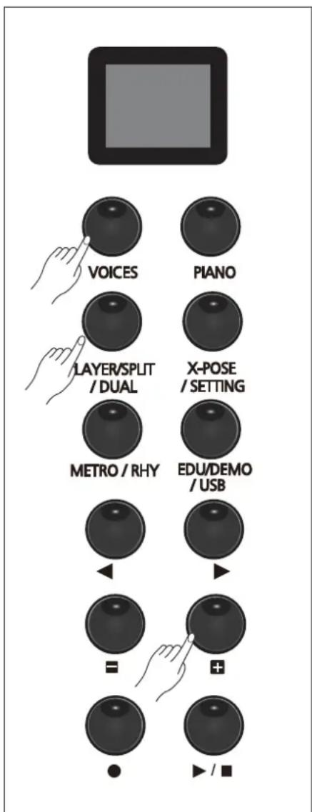 VOICES PIANO LAYER/SPLIT /DUAL X-POSE /SETTING METRO / RHY EDU/DEMO /USB = + • ► / ■