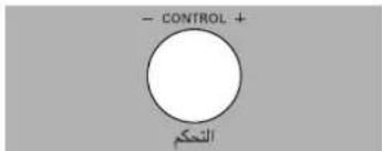 LG SolarDOM MP9289JSCS - Convection Cooking - 12