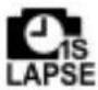 COBRA WASPcam 9900 - OLED Screen - 6