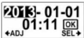 COBRA WASPcam 9900 - Date and Time - 2