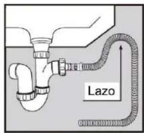 Lazo