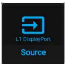 L1 DisplayPort Source