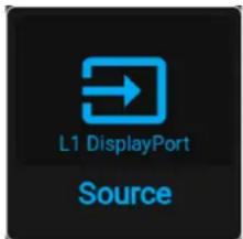 L1 DisplayPort Source