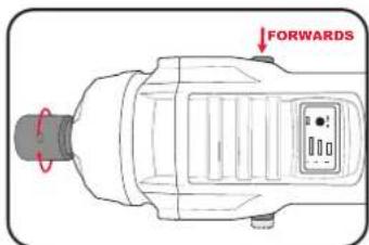 FORWARDS