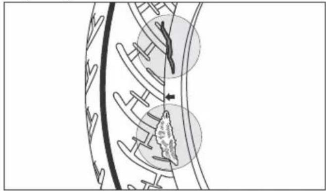 HERO Xoom Xtec (2023) - Inspection - 1