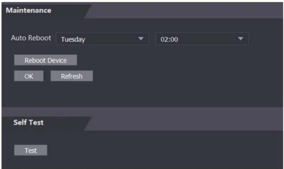 Maintenance Auto Reboot Tuesday 02:00 Reboot Device OK Refresh Self Test Test