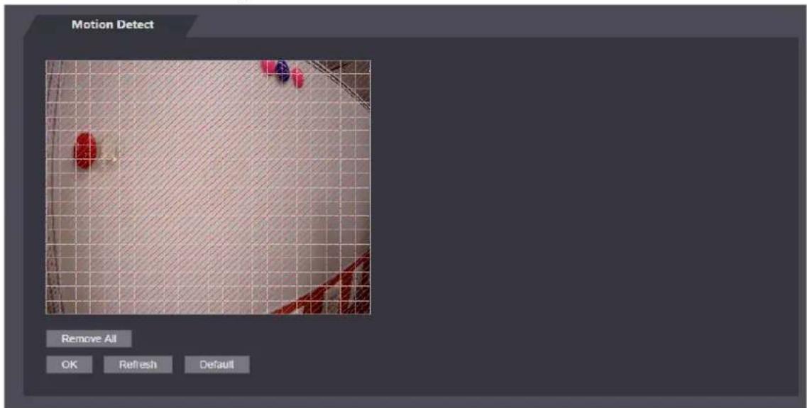 Motion Detect Remove All OK Refresh Default