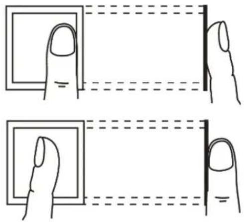 Diagram showing two finger positioning methods with dashed alignment guides for measurement reference.