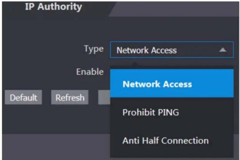 IP Authority Type Network Access Enable Default Refresh Network Access Prohibit PING Anti Half Connection