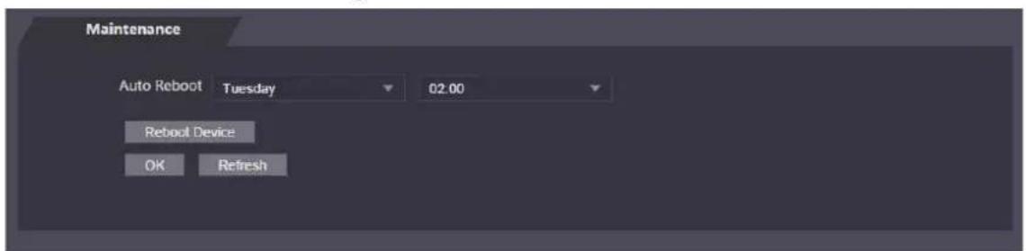 Maintenance Auto Reboot Tuesday 02.00 Reboot Device OK Refresh