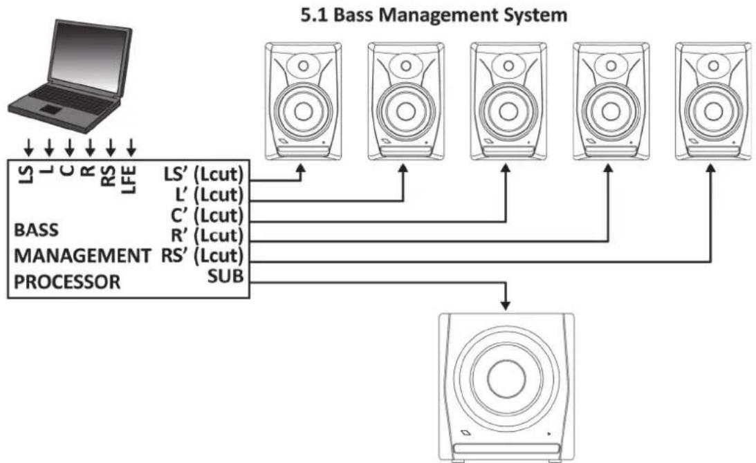 Eikon EK6NF - BASS MANAGEMENT - 1