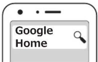 Google Home