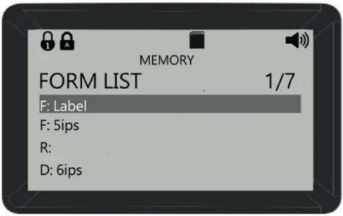 MEMORY FORM LIST 1/7 F: Label F: 5ips R: D: 6ips
