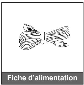 Fiche d'alimentation