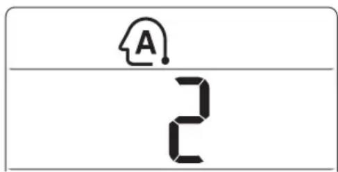 A 2