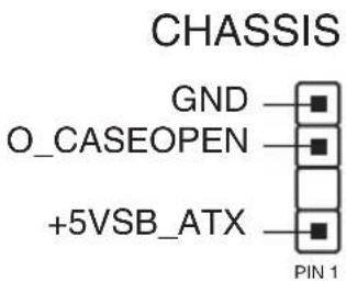 CHASSIS GND O_CASEOPEN +5VSB_ATX PIN 1