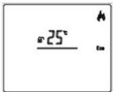 25°C Eco
