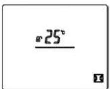 °25° x