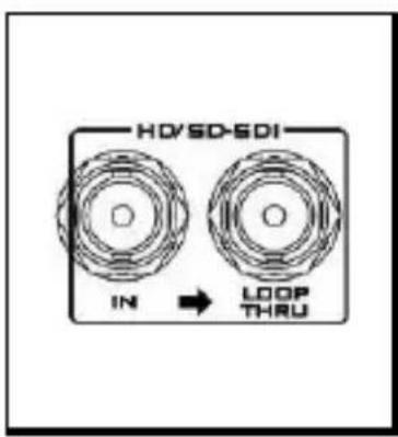HD/SD-SDI IN → LOOP THRU