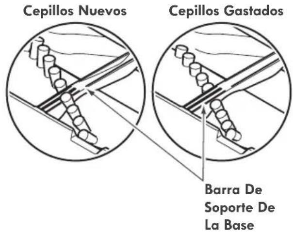 Cepillos Nuevos Cepillos Gastados Barra De Soporte De La Base