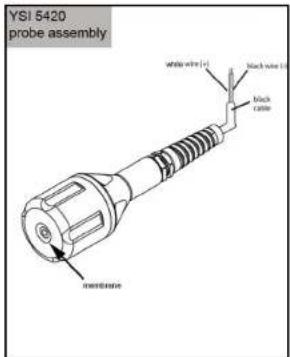 YSI 5420 probe assembly white wire (r) black wire (l) black cable membrane