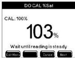 DO CAL %Sat CAL: 100% 103% Wait until reading is steady Exit Now Cancel Next