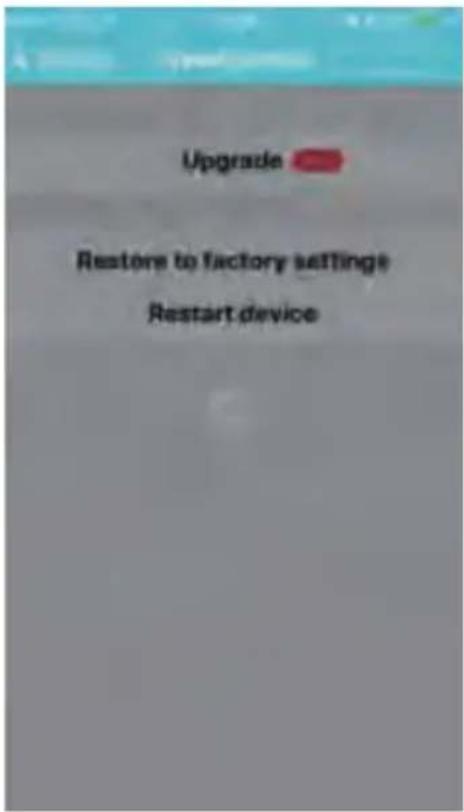 Upgrade Restore to factory setting Restart device