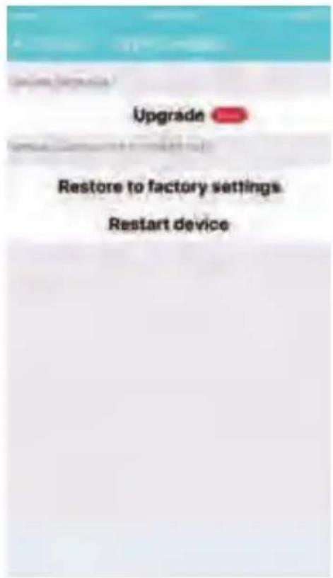 Upgrade Restore to factory settings Restart device