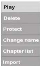 Play Delete Protect Change name Chapter list Import