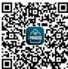 QR code with central logo containing 'PRINCESS' text and a Wi-Fi symbol