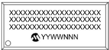 XXXXXXXXXXXXXXXXXXXXXX XXXXXXXXXXXXXXXXXXXXXX XXXXXXXXXXXXXXXXXXXXXX YYWWNNN
