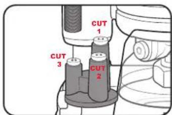 CUT 1 CUT 3 CUT 2