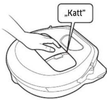 "Katt"