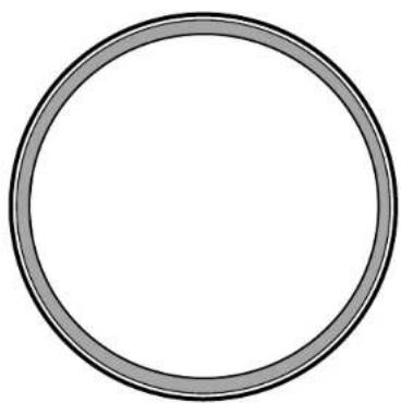 Simple circular ring diagram with no text or symbols