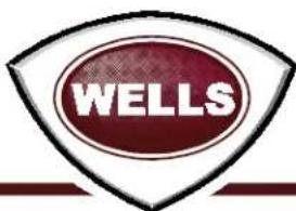 WELLS