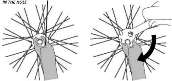 IN THE HOLE.