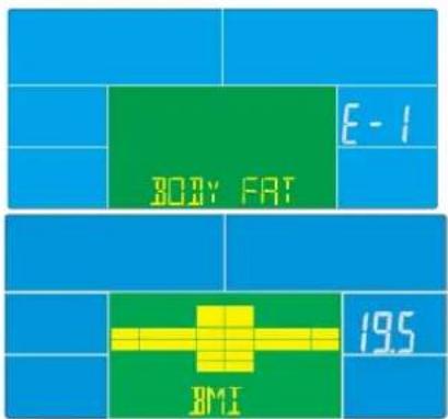 E-1 BODY FAT 195 BMI