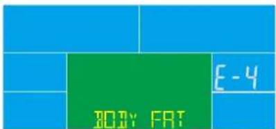 E-4 BODY FAT
