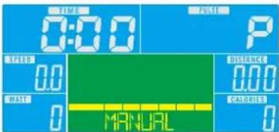 0:00 P SPEED 0.0 DISTANCE 0.00 WAST 0 CALORIES 0 MANUAL