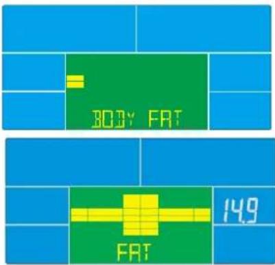 BODY FAT 149 FAT