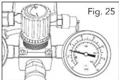 Fig. 25